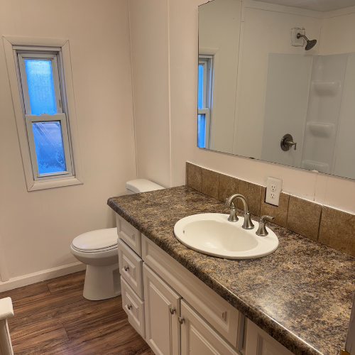 Bath Vanity Area